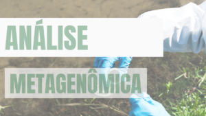 Análise Metagenômica: Explorando a Diversidade Microbiana na Agricultura Biológica