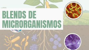 Blends de Microrganismos: o que são e como atuam na agricultura biológica